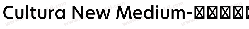 Cultura New Medium字体转换